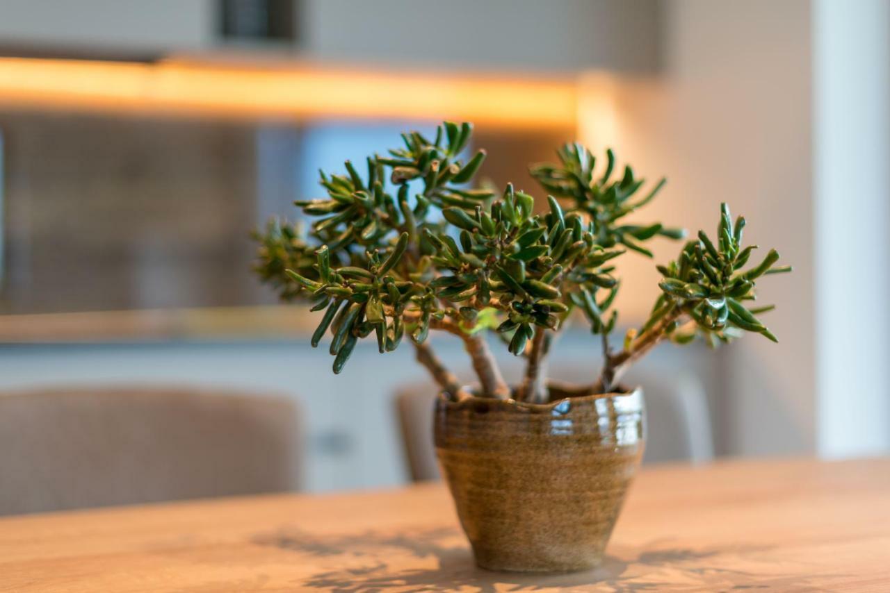 Moar Am Ort Apartment Schenna Ngoại thất bức ảnh